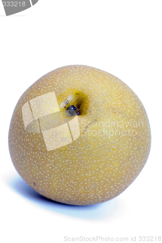 Image of asian nashi pear