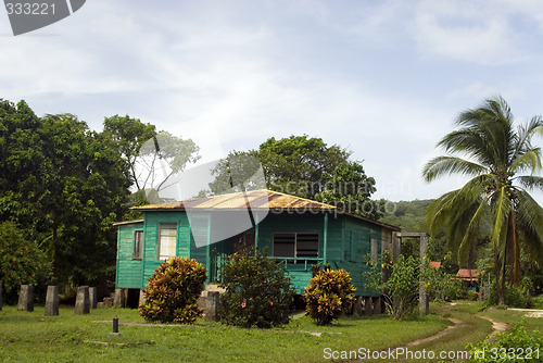 Image of native house