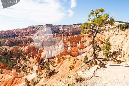 Image of Bryce Canyon