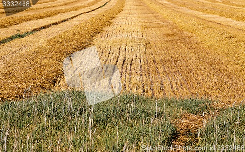 Image of field with straw  