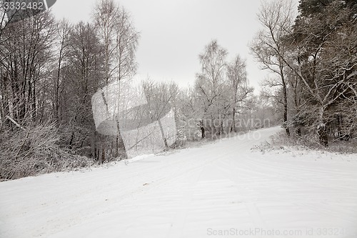 Image of the winter road  