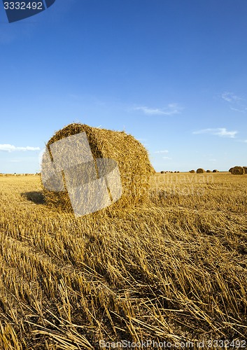 Image of agricultural field  