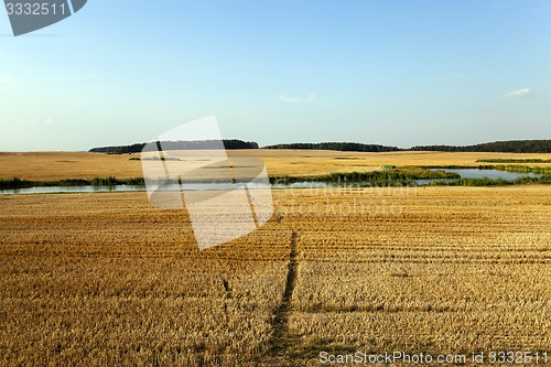 Image of path in the agricultural field 