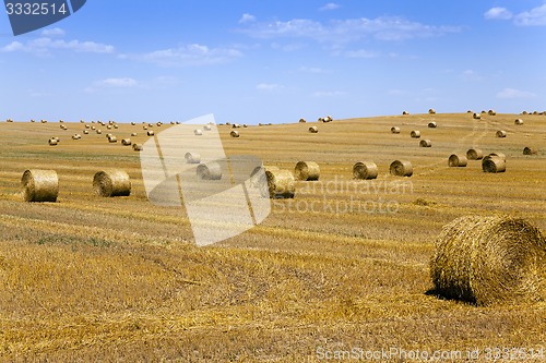 Image of straw stack  