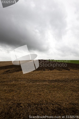 Image of plowed earth  