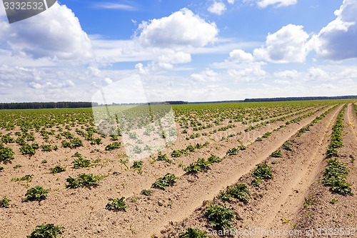 Image of plowed agricultural field 