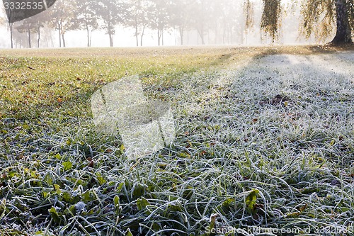 Image of frozen grass  