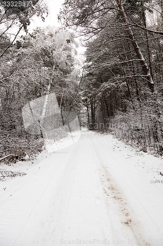 Image of the winter road  