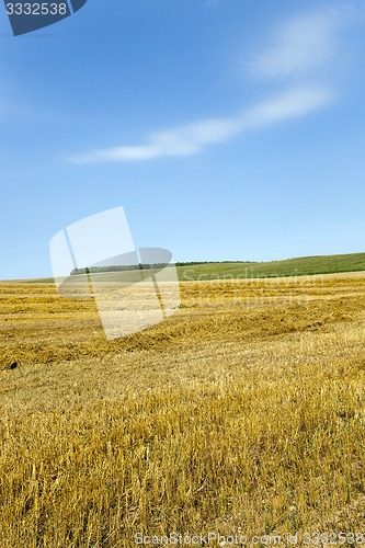 Image of agricultural field  