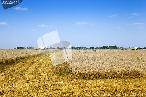 Image of harvesting  