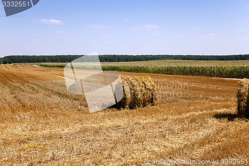 Image of straw stack  