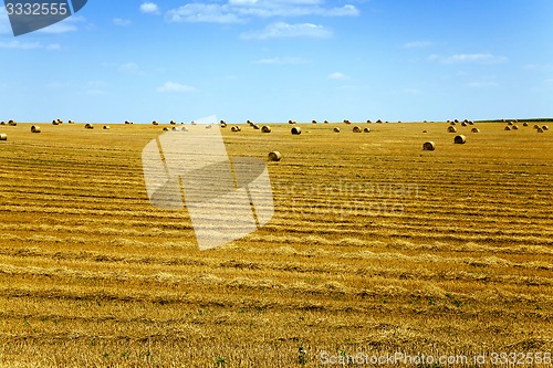 Image of straw stack  