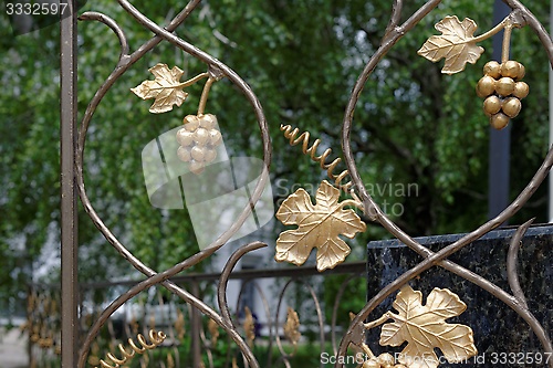 Image of Fragment of decorative lattice in shape of grape vine in Kiev, Ukraine