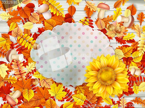 Image of Frame with flower, nuts and Mushrooms. EPS 10