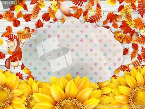Image of Frame with flower, nuts and Mushrooms. EPS 10
