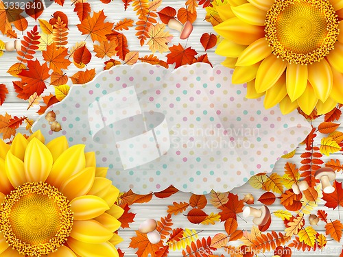 Image of Frame with flower, nuts and Mushrooms. EPS 10