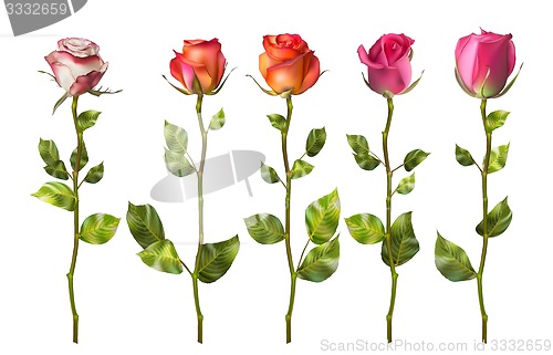 Image of Colorful roses set flowers. EPS 10