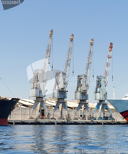 Image of Row of four cranes in Eilat harbor, Israel