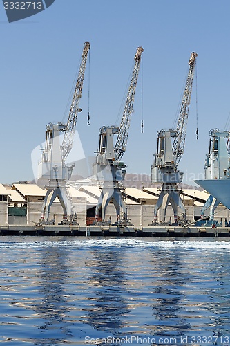 Image of Row of cranes and their reflections in the sea in Eilat harbor, Israel