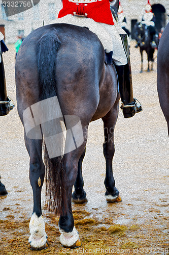 Image of in london england horse and cavalry for    the queen