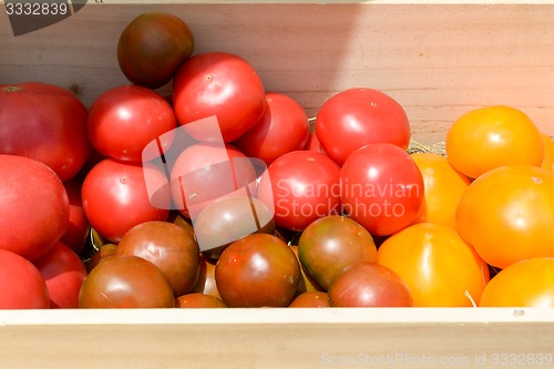 Image of red and yellow tomatoes in wooden crates