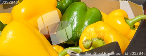 Image of green and yellow peppers