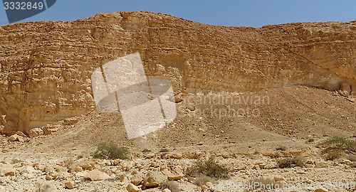 Image of Acacia trees and bushes at the bottom of the rocky wall in the desert 