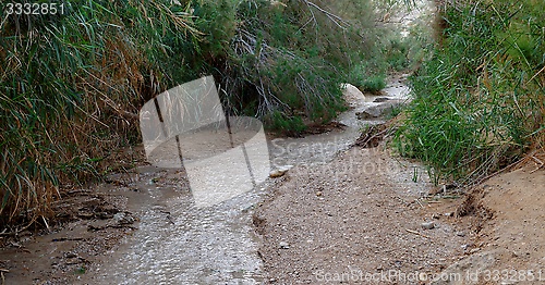 Image of Small creek at sunset