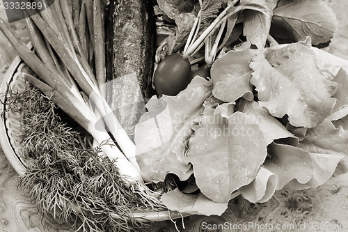 Image of Vegetables: radish, cucumber, green onions, lettuce and dill