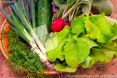 Image of Vegetables: radish, cucumber, green onions, lettuce and dill