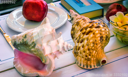 Image of Still life: sea shell, book, fruit, flowers.