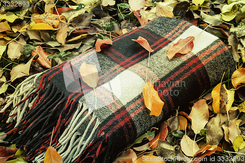 Image of Warm and cozy blanket for relaxing in the forest.