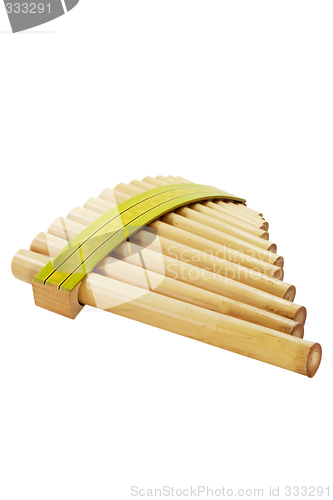 Image of Quills