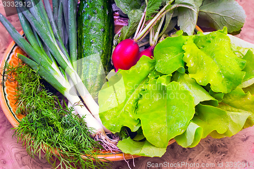 Image of Vegetables: radish, cucumber, green onions, lettuce and dill