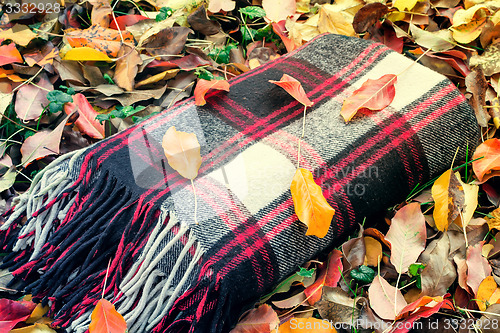 Image of Warm and cozy blanket for relaxing in the forest.