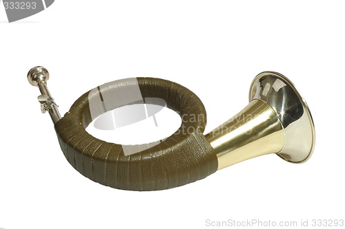 Image of Shiny Horn