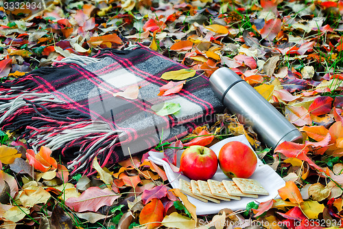 Image of A convenient blanket to relax in the woods and Breakfast.