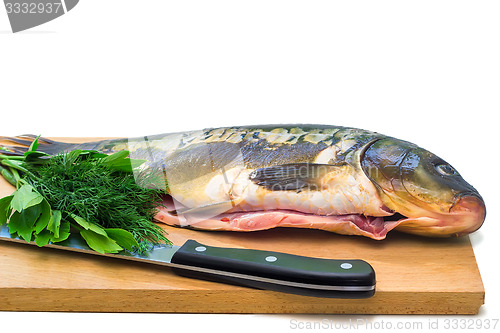 Image of Fish and components for her preparation on a white background.