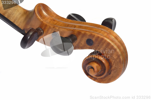 Image of Violine Head