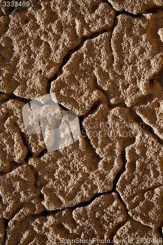 Image of texture rock abst of a   stone and lichens 