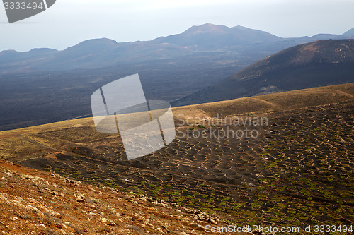 Image of winery lanzarote spain la geria vine screw 