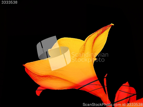 Image of no caption