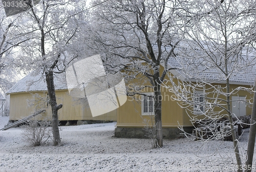 Image of Winter