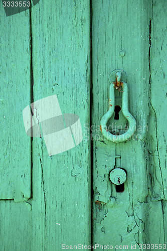 Image of canarias brass brown knocker in a green 