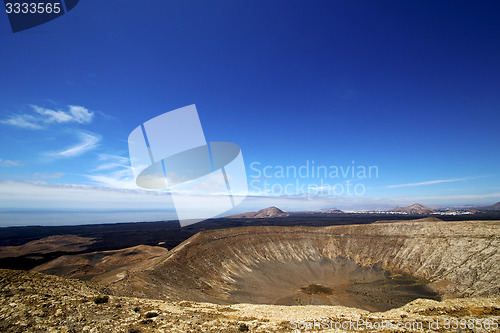 Image of in los volcanes volcanic  lanzarote spain plant flower bush