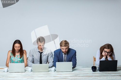 Image of Business team working on their business project together at office