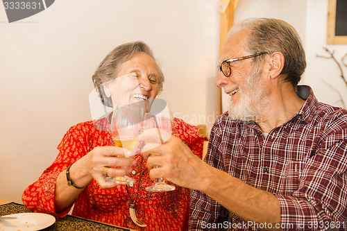 Image of Old couple toasting 