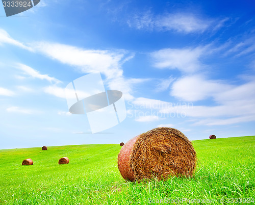 Image of field