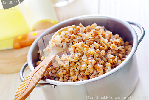 Image of buckwheat