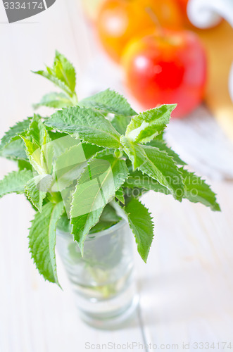 Image of fresh mint